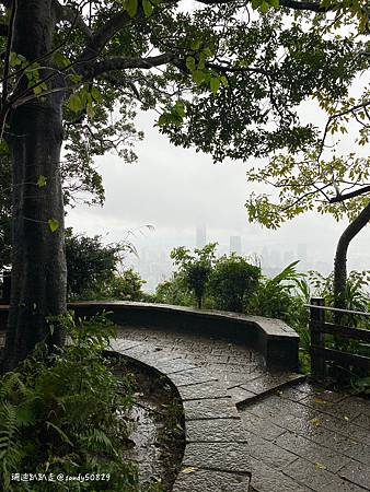 Photo 2020-12-19, 11 21 00_batch.jpg Photo 2020-12-19, 11 21 00_batch.jpg