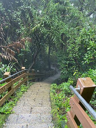 Photo 2020-12-19, 11 24 54_batch.jpg Photo 2020-12-19, 11 24 54_batch.jpg