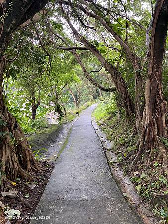 Photo 2020-12-19, 12 14 49_batch.jpg Photo 2020-12-19, 12 14 49_batch.jpg