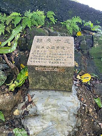 Photo 2020-12-19, 12 46 33_batch.jpg Photo 2020-12-19, 12 46 33_batch.jpg