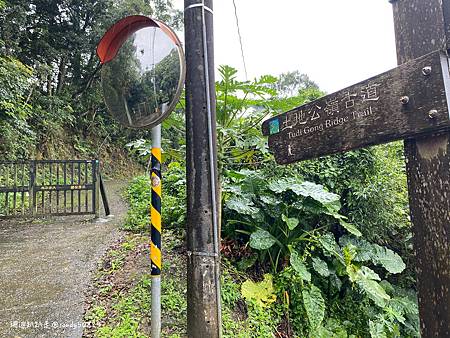 Photo 2020-12-19, 12 56 03_batch.jpg Photo 2020-12-19, 12 56 03_batch.jpg