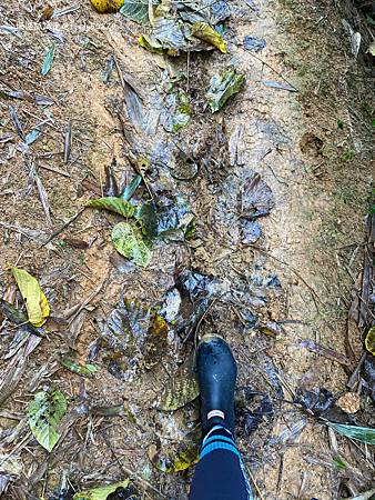 Photo 2020-12-19, 13 00 58_batch.jpg Photo 2020-12-19, 13 00 58_batch.jpg