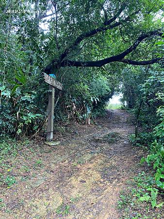 Photo 2020-12-19, 12 57 59_batch.jpg Photo 2020-12-19, 12 57 59_batch.jpg