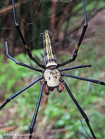 Photo 2020-12-19, 15 40 22_batch.jpg Photo 2020-12-19, 15 40 22_batch.jpg