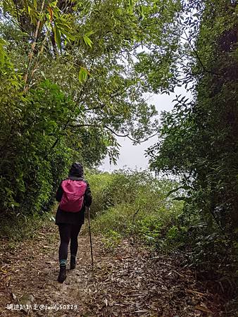 PXL_20201219_045904609.MP_batch.jpg PXL_20201219_045904609.MP_batch.jpg