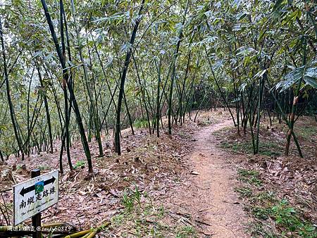 Photo 2020-12-19, 13 03 03_batch.jpg Photo 2020-12-19, 13 03 03_batch.jpg