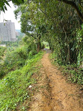 Photo 2020-12-19, 13 17 07_batch.jpg Photo 2020-12-19, 13 17 07_batch.jpg