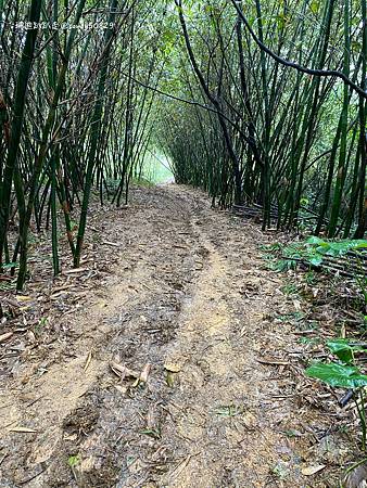 Photo 2020-12-19, 13 11 55_batch.jpg Photo 2020-12-19, 13 11 55_batch.jpg