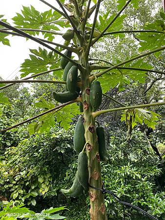 Photo 2020-12-19, 13 23 06_batch.jpg Photo 2020-12-19, 13 23 06_batch.jpg