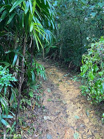 Photo 2020-12-19, 13 35 58_batch.jpg Photo 2020-12-19, 13 35 58_batch.jpg