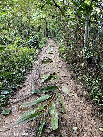 Photo 2020-12-19, 13 40 41_batch.jpg Photo 2020-12-19, 13 40 41_batch.jpg