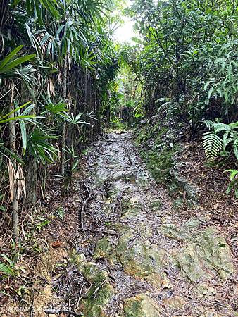 Photo 2020-12-19, 13 44 57_batch.jpg Photo 2020-12-19, 13 44 57_batch.jpg