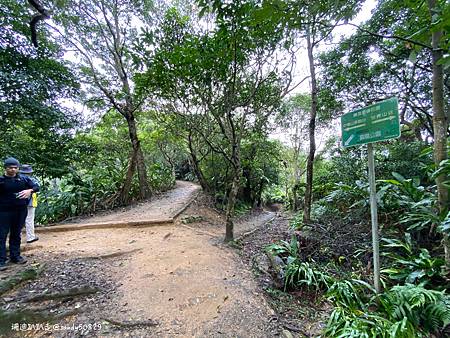 Photo 2020-12-19, 13 57 25_batch.jpg Photo 2020-12-19, 13 57 25_batch.jpg