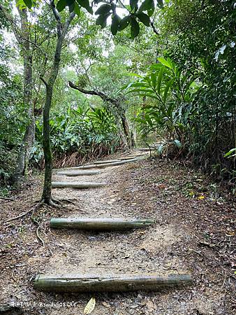 Photo 2020-12-19, 14 04 19_batch.jpg Photo 2020-12-19, 14 04 19_batch.jpg
