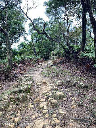 Photo 2020-12-19, 14 09 56_batch.jpg Photo 2020-12-19, 14 09 56_batch.jpg