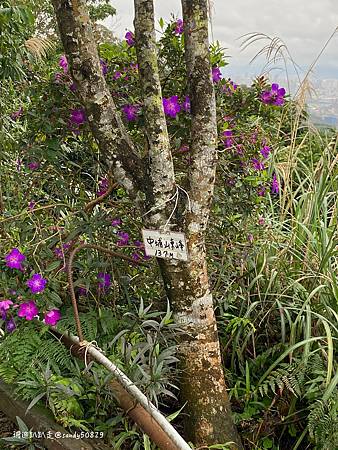 Photo 2020-12-19, 14 16 22_batch.jpg Photo 2020-12-19, 14 16 22_batch.jpg