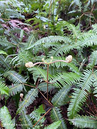 Photo 2020-12-19, 14 23 02_batch.jpg Photo 2020-12-19, 14 23 02_batch.jpg