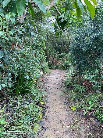 Photo 2020-12-19, 14 19 08_batch.jpg Photo 2020-12-19, 14 19 08_batch.jpg