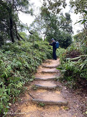 Photo 2020-12-19, 14 21 32_batch.jpg Photo 2020-12-19, 14 21 32_batch.jpg