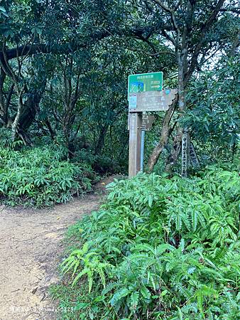 Photo 2020-12-19, 14 24 34_batch.jpg Photo 2020-12-19, 14 24 34_batch.jpg