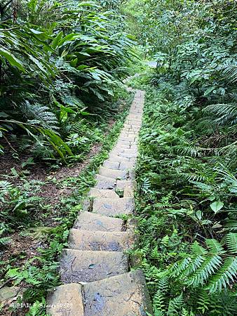 Photo 2020-12-19, 14 25 22_batch.jpg Photo 2020-12-19, 14 25 22_batch.jpg