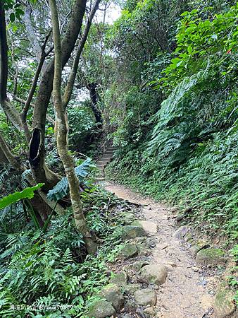 Photo 2020-12-19, 14 27 56_batch.jpg Photo 2020-12-19, 14 27 56_batch.jpg