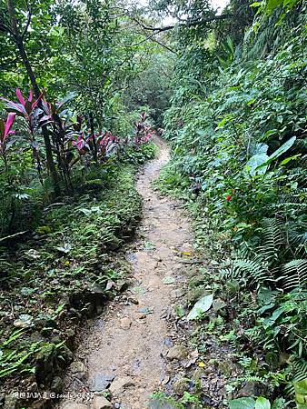 Photo 2020-12-19, 14 30 10_batch.jpg Photo 2020-12-19, 14 30 10_batch.jpg