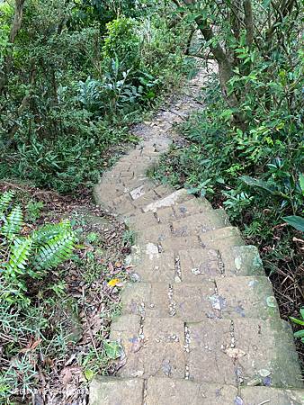 Photo 2020-12-19, 14 33 12_batch.jpg Photo 2020-12-19, 14 33 12_batch.jpg