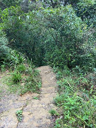 Photo 2020-12-19, 14 32 57_batch.jpg Photo 2020-12-19, 14 32 57_batch.jpg