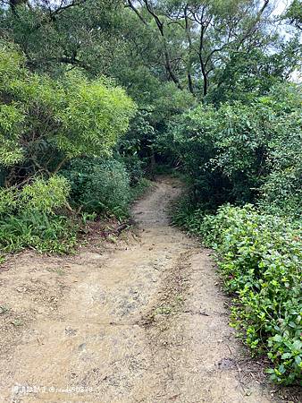 Photo 2020-12-19, 14 41 21_batch.jpg Photo 2020-12-19, 14 41 21_batch.jpg