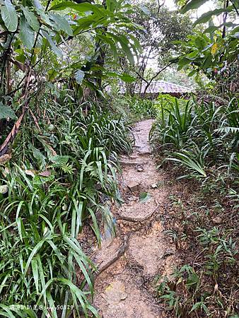 Photo 2020-12-19, 14 43 28_batch.jpg Photo 2020-12-19, 14 43 28_batch.jpg