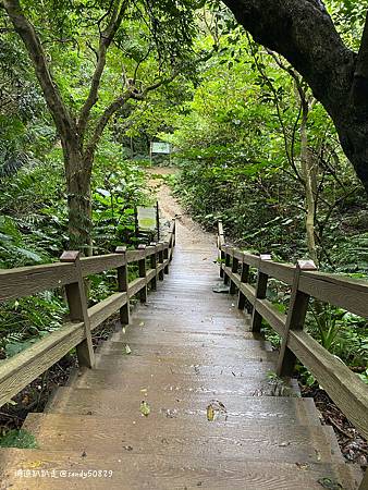 Photo 2020-12-19, 14 51 31_batch.jpg Photo 2020-12-19, 14 51 31_batch.jpg