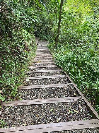 Photo 2020-12-19, 14 50 46_batch.jpg Photo 2020-12-19, 14 50 46_batch.jpg