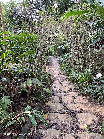 Photo 2020-12-19, 14 44 18_batch.jpg Photo 2020-12-19, 14 44 18_batch.jpg