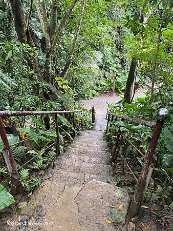 Photo 2020-12-19, 14 54 21_batch.jpg Photo 2020-12-19, 14 54 21_batch.jpg