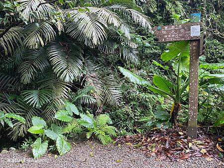 Photo 2020-12-19, 14 55 02_batch.jpg Photo 2020-12-19, 14 55 02_batch.jpg