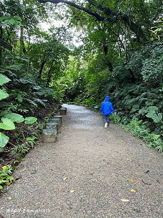 Photo 2020-12-19, 14 55 07_batch.jpg Photo 2020-12-19, 14 55 07_batch.jpg