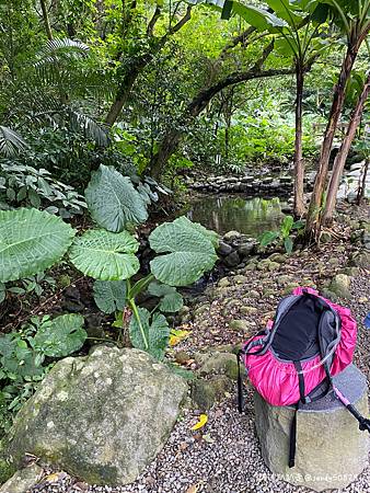 Photo 2020-12-19, 15 06 21_batch.jpg Photo 2020-12-19, 15 06 21_batch.jpg