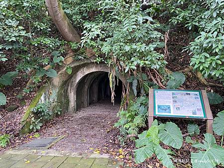 Photo 2020-12-19, 15 12 50_batch.jpg Photo 2020-12-19, 15 12 50_batch.jpg