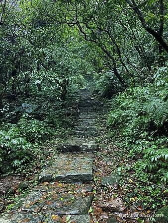 Photo 2020-12-20, 07 02 23_batch.jpg Photo 2020-12-20, 07 02 23_batch.jpg