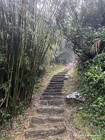 Photo 2020-12-20, 07 08 29_batch.jpg Photo 2020-12-20, 07 08 29_batch.jpg