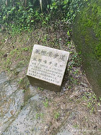 Photo 2020-12-20, 07 10 59_batch.jpg Photo 2020-12-20, 07 10 59_batch.jpg