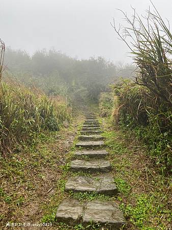 Photo 2020-12-20, 07 18 54_batch.jpg Photo 2020-12-20, 07 18 54_batch.jpg