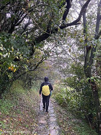 Photo 2020-12-20, 07 21 56_batch.jpg Photo 2020-12-20, 07 21 56_batch.jpg