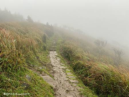 Photo 2020-12-20, 07 36 15_batch.jpg Photo 2020-12-20, 07 36 15_batch.jpg