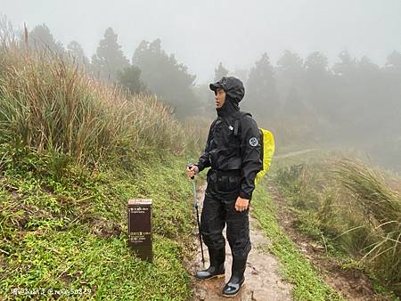 Photo 2020-12-20, 07 39 54_batch.jpg Photo 2020-12-20, 07 39 54_batch.jpg