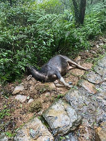 Photo 2020-12-20, 07 59 45_batch.jpg Photo 2020-12-20, 07 59 45_batch.jpg