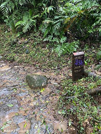 Photo 2020-12-20, 08 04 26_batch.jpg Photo 2020-12-20, 08 04 26_batch.jpg