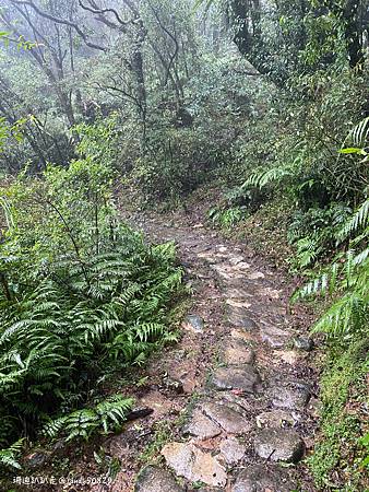 Photo 2020-12-20, 08 05 57_batch.jpg Photo 2020-12-20, 08 05 57_batch.jpg