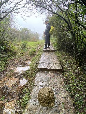 Photo 2020-12-20, 08 22 10_batch.jpg Photo 2020-12-20, 08 22 10_batch.jpg